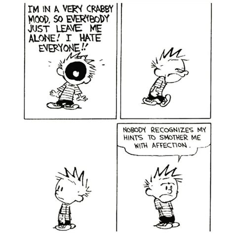 Embedded Image Permalink Calvin And Hobbes Quotes Calvin And Hobbes