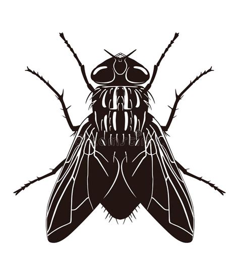 Dark Silhouette Of Fly View From Above Vector Illustration Stock