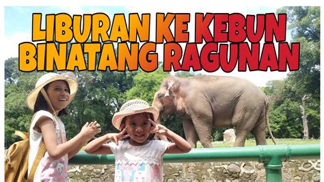 Liburan Ke Kebun Binatang Ragunan Youtube