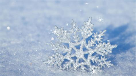 3d Snowflake In The Snow Hd Winter Wallpaper Wallpaper Download 2560x1440