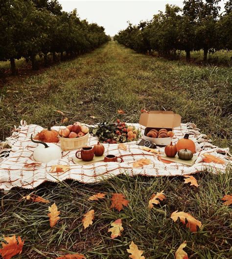Heres How To Plan The Cutest Fall Picnic With Your Squad Girlslife
