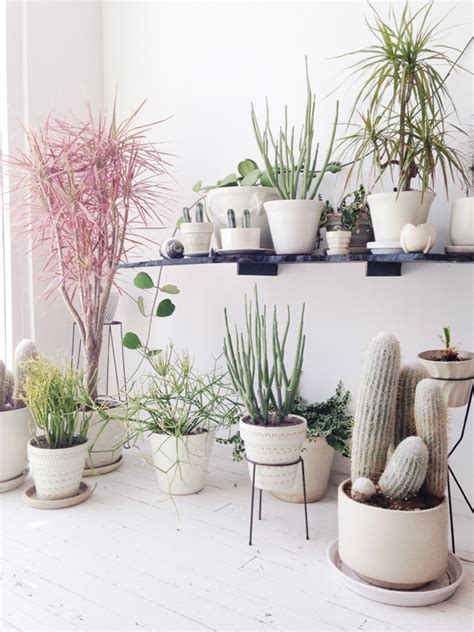 10 Beautiful Ways To Decorate Indoor Plant In Living Room