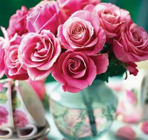 Pink Roses And Teacups Still Life Flowers Teacups Pink Roses Hd