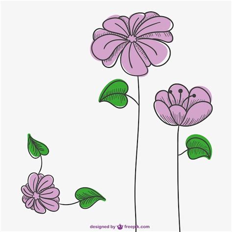 Pink Flowers Drawing Vector Free Download