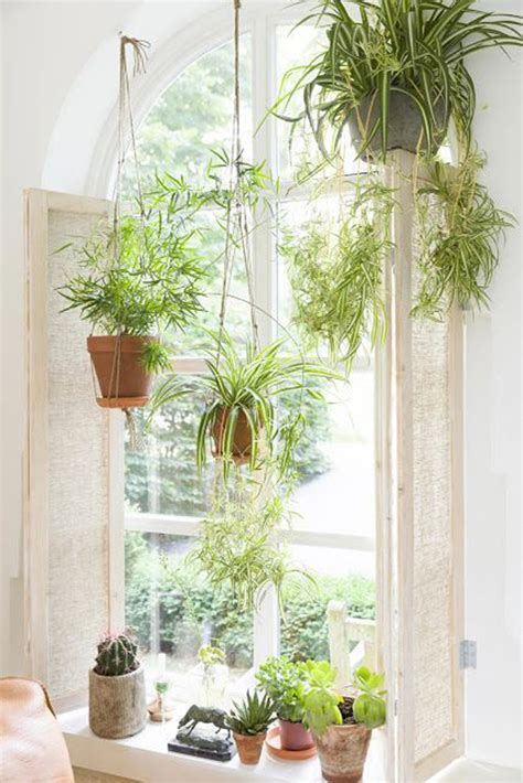 25 Diy Indoor Window Garden For Limited Spaces Homemydesign
