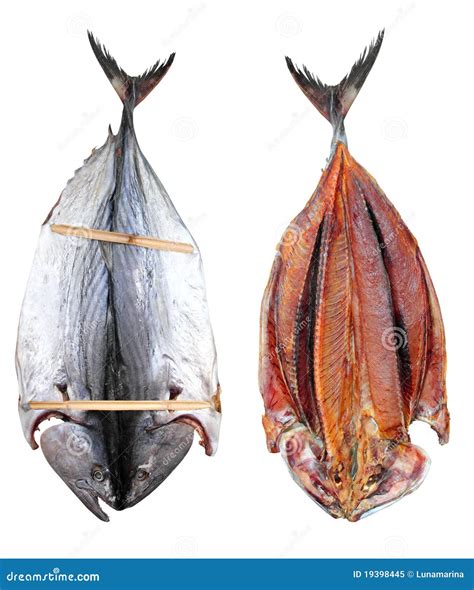Bonito Tuna Salted Dried Fish Mediteraranean Sarda Royalty Free Stock