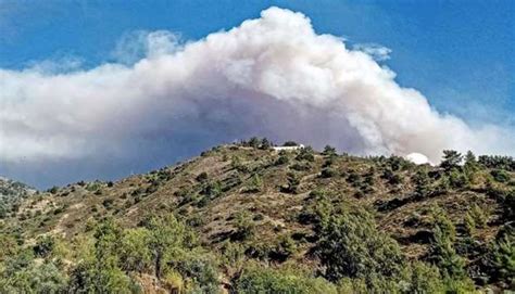 Four Dead As Cyprus Forest Fire Rages Gulf Times