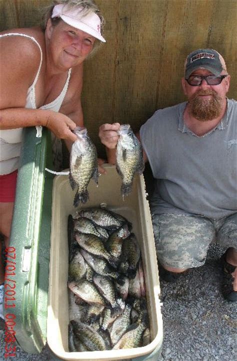 Reelfoot Lake Crappie Fishing Best In Years Page 7