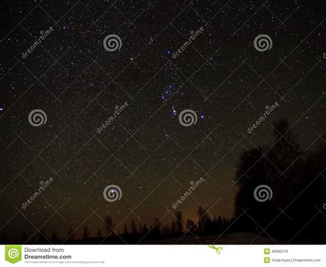 Night Sky Stars Orion Constellation Sirius Star Stock