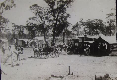 Possibly The Town Of West Wyalong Nsw Circa 1900 A Photo On