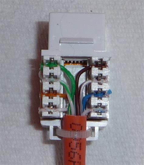 Cat6 Wiring Diagram Wall Plate