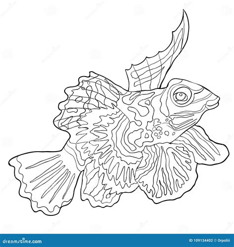 Mandarin Fish Cartoon Vector Illustration 71699290