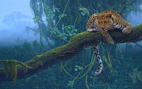 Nature Trees Jungle Animals Leopards Wallpapers Hd Desktop And