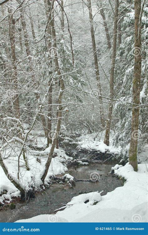 Snowy Creek Stock Image Image Of Rocky White Woods Creek 621465