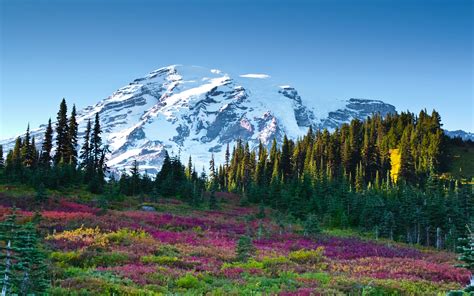 Nature Landscape Mountains With Snow Forest Meadow