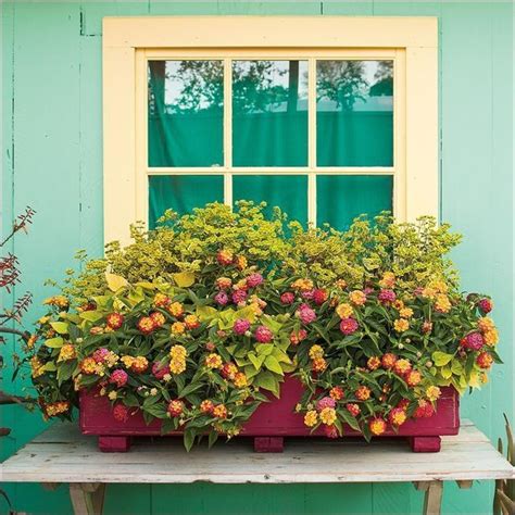 25 Most Beautiful Flowers Ideas For Window Boxes 2019 17 Window Box