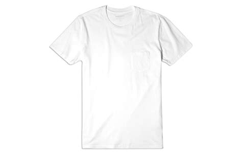 The 16 Best White T Shirts For Women 2018