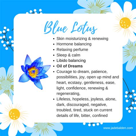 Blue lotus is a potent aphrodisiac and synergizes well with most essences in product development. Blue Lotus | Jade Balden