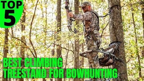 ️best Climbing Treestand For Bowhunting Youtube