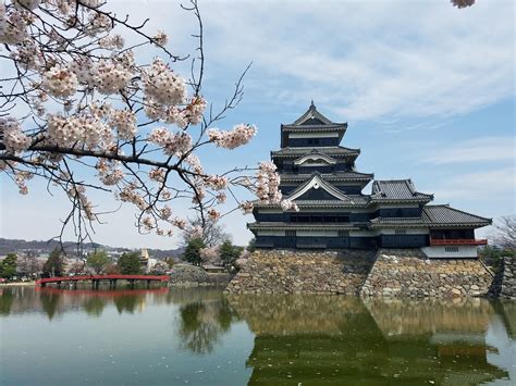 Matsumoto Castle With Cherry Blossoms Oc 4032 X 3024 Rjapanpics