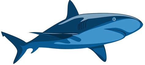 Shark Clip Art At Clker Com Vector Clip Art Online Royalty Free Public Domain