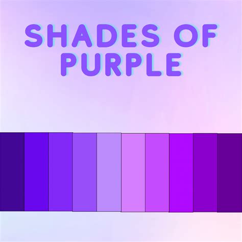 Top 3 Shades Of Purple For Businesses Qq Studio