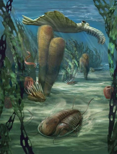 Field Museum Cambrian Sea Mural For Field Museum By