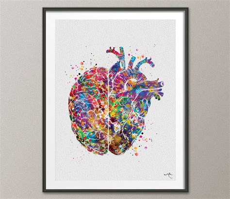 Heart And Brain Watercolor Medical Art Science Art Geek Nerd Neurology