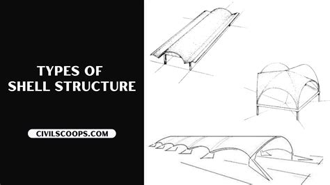 What Is Shell Structure 11 Types Of Shell Structure Applications