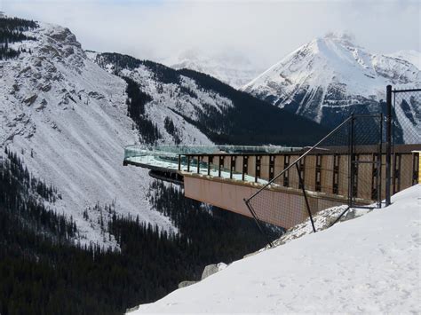Best Time For Glacier Skywalk In Banff And Jasper National Parks 2024