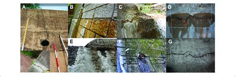 Various Deterioration Types Observed On Concrete Check Dams A