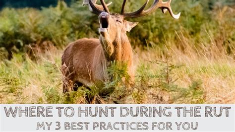 Where To Hunt During The Rut 3 Pro Tips For You Outdoorstack