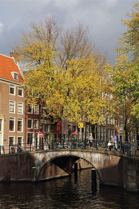 Autumn Tree In Amsterdam Holland Editorial Stock Image Image Of City