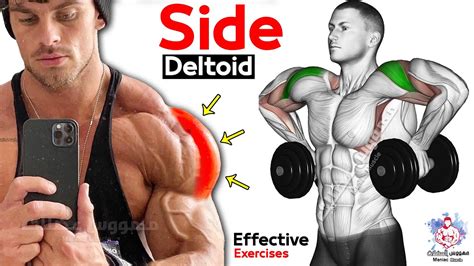 Easy Exercises Side Deltoid Workout Shoulders Day YouTube
