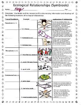 Types of symbiosis worksheet answer key