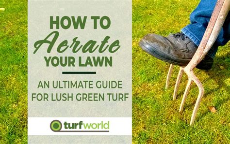 How To Aerate A Lawn The Ultimate Guide For Lush Green Turf