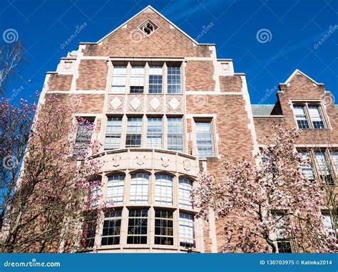 Magnolia Trees Blooming At University Campus In Seattle Stock Image
