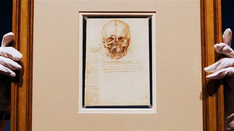 Da Vinci O Anatomista Veja