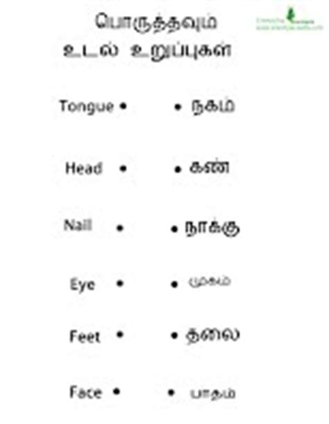She has beautiful eyes : English Tamil Word Match - Tamil Puthakam