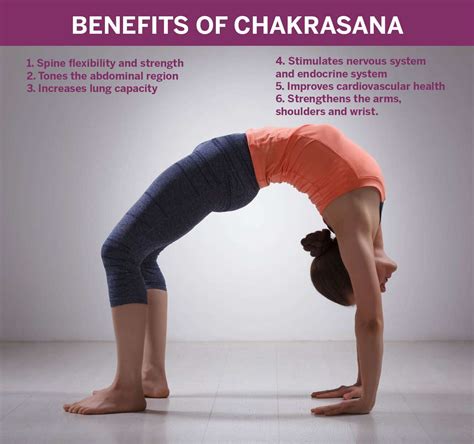 Chakrasana Yoga Pose Chakrasana Practice Yoga Shortvideo Riset
