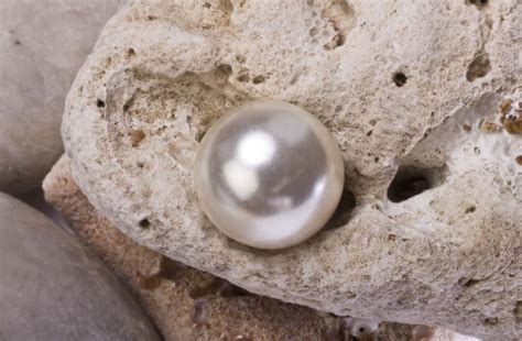 How Are Pearls Made Tps Blog
