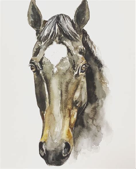 Horse Portrait In 2021 Watercolor Horse Watercolor Horse Painting