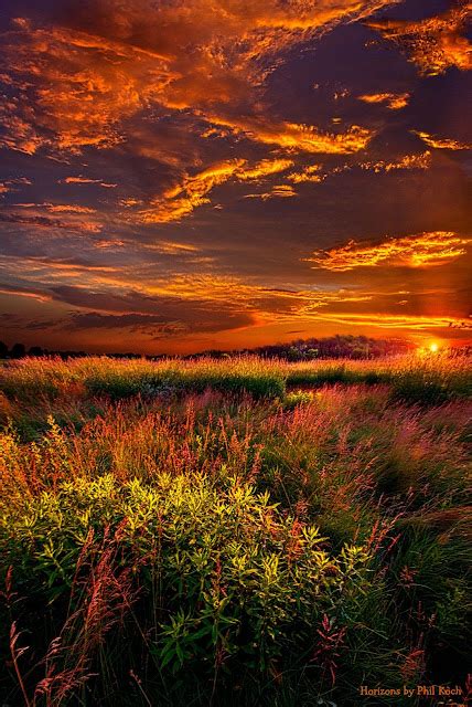 Amazing Sunset In Summer Field ~ Marvelous Nature