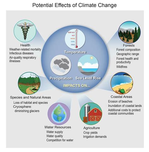 Environment And Its Impact Presentation