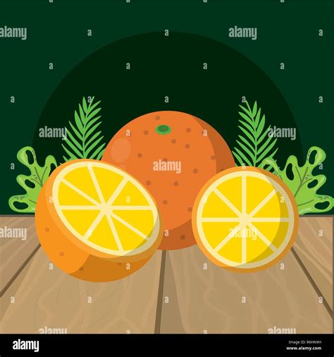 Fresh Fruits Oranges Cartoon Stock Vector Image And Art Alamy