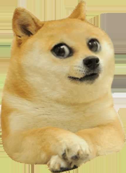 Doge Meme Template Png 25 Best Doge Meme Template Memes What Is A