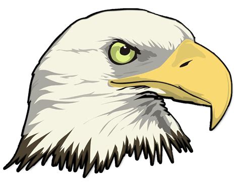 Simple Bald Eagle Drawing At Getdrawings Free Download