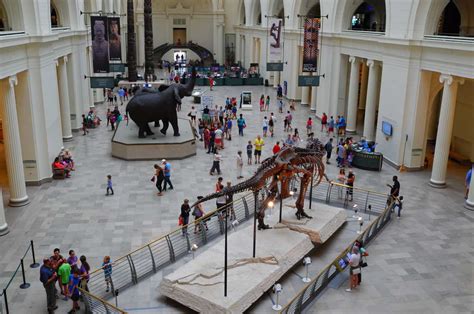 Best Museums In Chicago Art History And Other Museums Worth Visiting