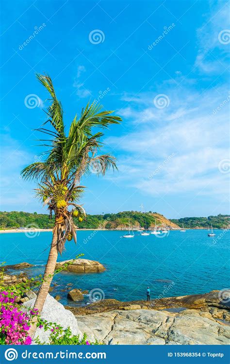 Beautiful Tropical Beach And Sea With Coconut Palm Tree In Paradise Island Stock Photo Image