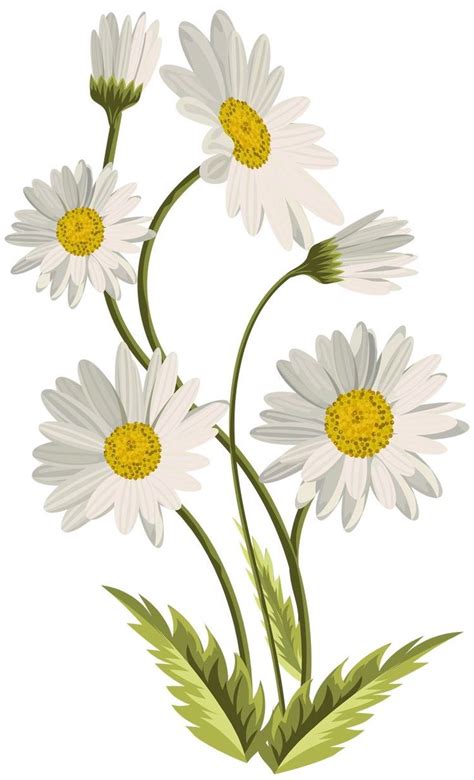 Pin de Светлана en Draws Pintura de margarita Pinturas florales
